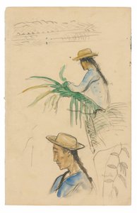 Bocetos de figuras, hoja de pandanus y planta de vainilla