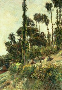 El Lado de la Colina, 1884 de Paul Gauguin