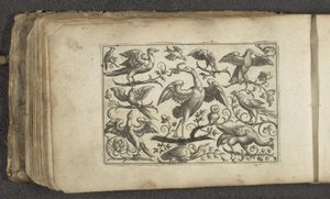 Grulla y otras doce aves Pájaros (título de la serie) de Paul Göttich