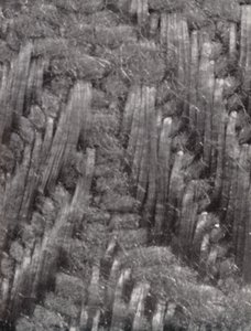 Fibras de una servilleta de mesa adamascada (foto b/n) de Paul Henning