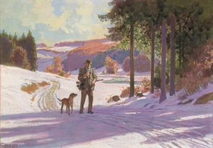 Mañana de Navidad en el bosque