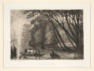 madera de la haya