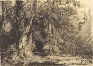 Inundación en el bosque de la Isla Seguin de Paul Huet