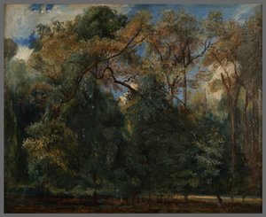 Los olmos de Saint-Cloud de Paul Huet