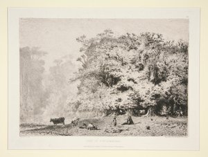 Bosques cerca de Fontainebleau de Paul Huet