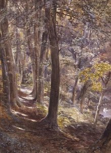 Un Claro en el Bosque de Paul Jacob Naftel