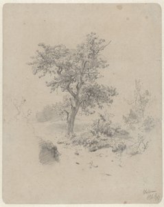 Paisaje con roble de Paul Joseph Constantin Gabriel