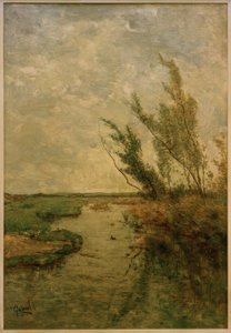 Paisaje de pólder de Paul Joseph Constantin Gabriel