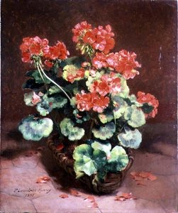 Flores en una cesta