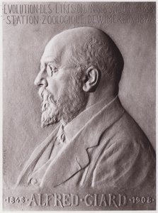 Alfred Giard (1846-1908), zoólogo, retrato