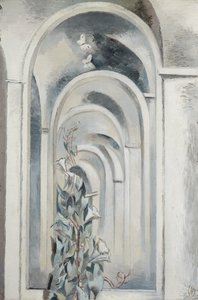 Convolvulus de Paul Nash