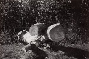 Búsqueda de objetos de Paul Nash