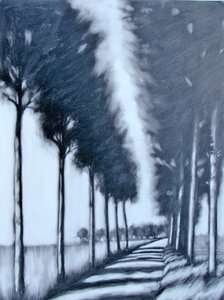 Avenida