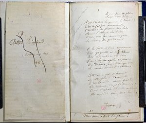 Páginas manuscritas de 