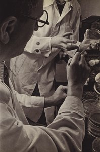 La industria alemana de Paul Wolff
