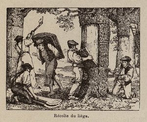  de Paul de Laubadere