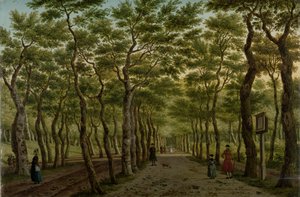 El Herepad en el Haagse Bos
El bosque de Scheveningen, cerca de La Haya de Paulus Constantijn la Fargue (signed by artist)