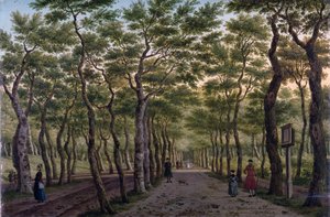 El Herepad en el bosque de La Haya