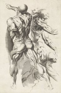 Estudio anatómico de tres figuras con los brazos extendidos
El libro de dibujos de Peter Paul Rubens (título de la serie)