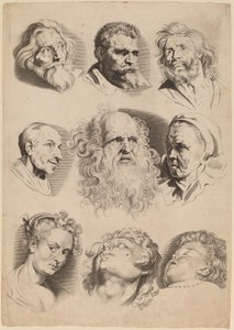 Nueve cabezas de Paulus Pontius after Sir Peter Paul Rubens