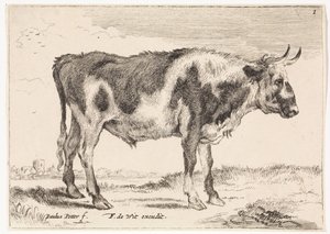 Buey manchado
Bueyes y vacas (título de la serie) de Paulus Potter (rejected attribution)