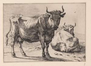 Una vaca de pie y otra tumbada, de varios bueyes y vacas