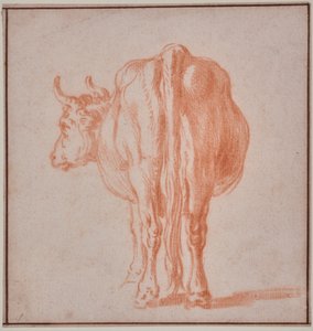 Vaca (estudio animal) de Paulus Potter