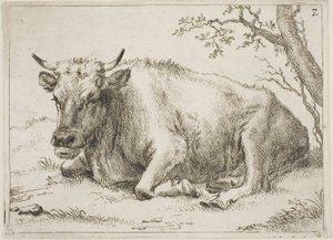 Vaca tumbada junto a un árbol, lámina 7 de Ocho toros y vacas de Paulus Potter