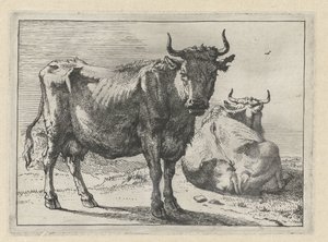 Una vaca de pie y una tumbada El folleto de Bullen (título de la serie) de Paulus Potter