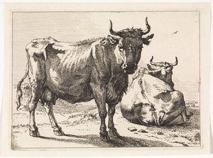 Una vaca de pie y otra reclinada
The Bull Book (título de la serie)
