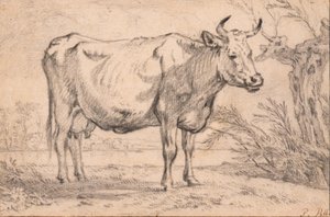  de Paulus Potter
