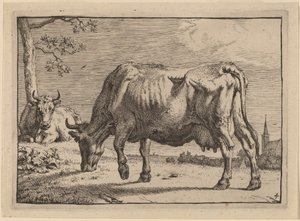 Vaca pastando de Paulus Potter