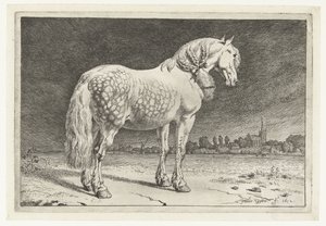 El caballo frisón Caballos (título de la serie) de Paulus Potter