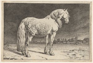 El caballo frisón Caballos (título de la serie) de Paulus Potter