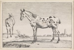  de Paulus Potter