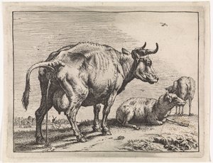 Vaca que orina
The Bull Book (título de la serie) de Paulus Potter