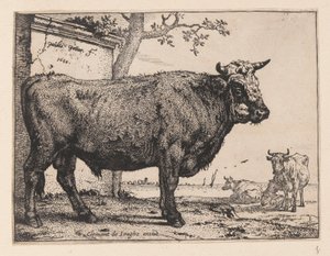 El toro, de varios bueyes y vacas de Paulus Potter