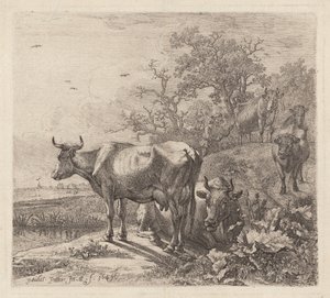 El vaquero de Paulus Potter