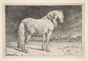 El caballo de Frisia de Paulus Potter