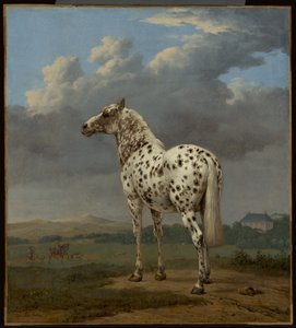 El caballo "Piebald