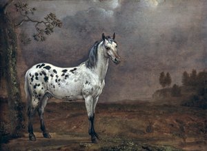 El Caballo Pío de Paulus Potter