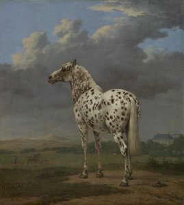 El caballo "Piebald" de Paulus Potter