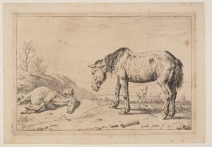 El caballo gastado, (La Mazette), de Serie de caballos de Paulus Potter