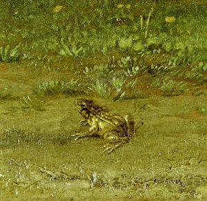 Sapo, detalle de Un compatriota con su rebaño, 1648 de Paulus Potter