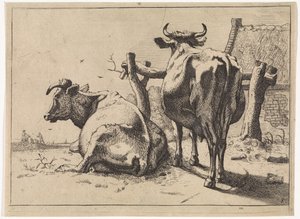 Dos vacas vistas desde atrás El folleto de Bullen (título de la serie) de Paulus Potter