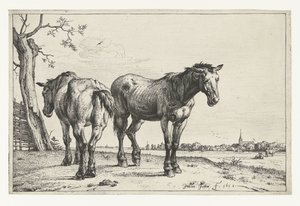 Dos caballos de arado Caballos (título de la serie) de Paulus Potter