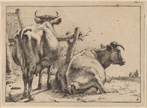 Dos Vacas Vistas desde Atrás de Paulus Potter