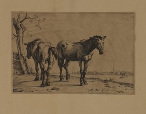 Dos caballos de Paulus Potter