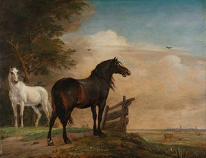 Dos caballos en un prado cerca de una puerta
Dos caballos cerca de una puerta en un prado