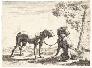 Dos perros atados de Paulus van Hillegaert (II)